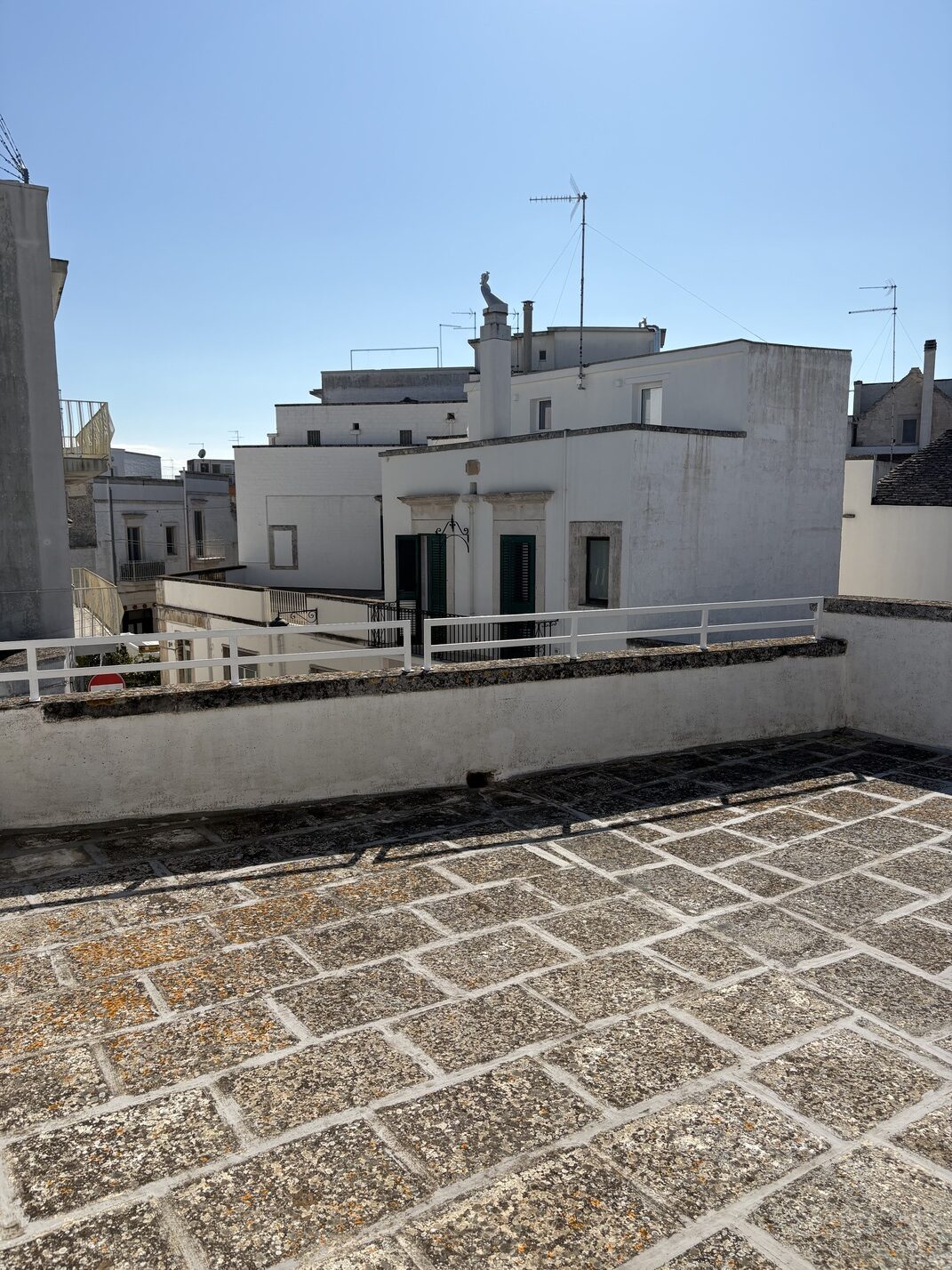 La gatta tra i trulli, alberobello, casa vacanza, puglia