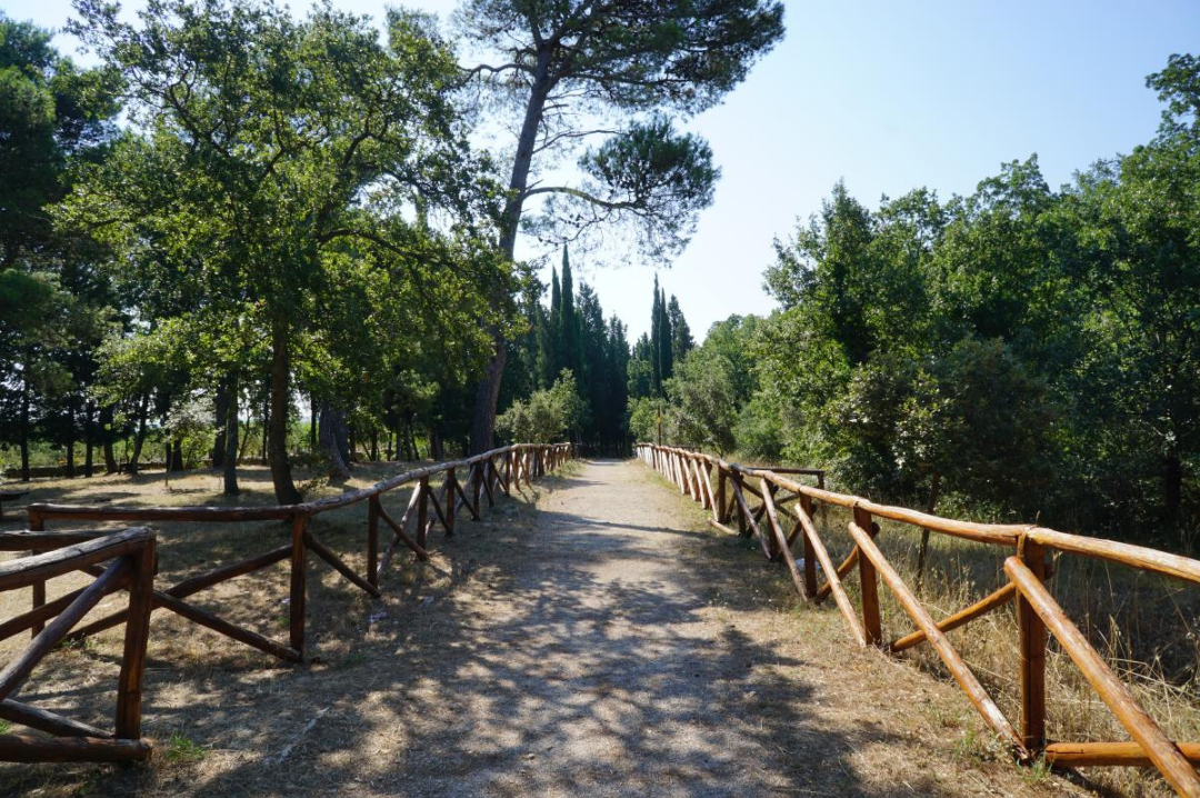 Trekking Bosco Selva di Alberobello